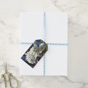 White Blossoms II Spring Flowering Tree Gift Tags