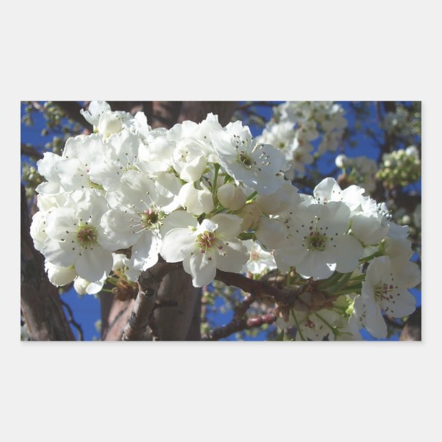 White Blossoms II Spring Flowering Tree Rectangular Sticker (Front)