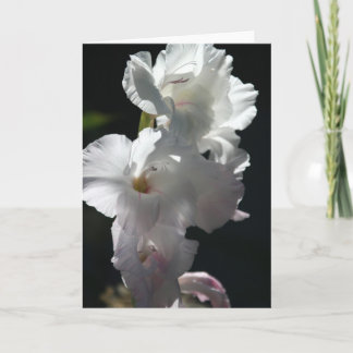 White blossoms on black Greeting Card