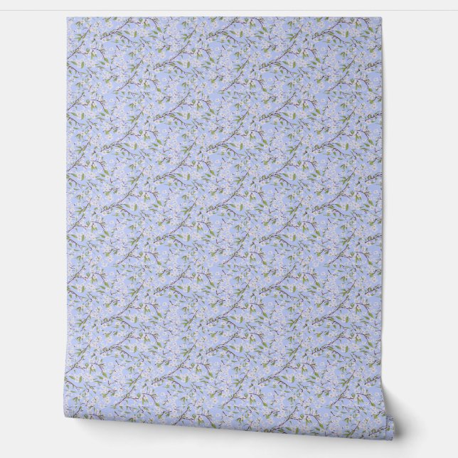 White Blossoms on Blue Wallpaper (Unrolling)