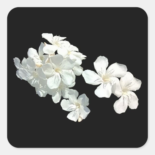 White Blossoms Square Sticker (Front)