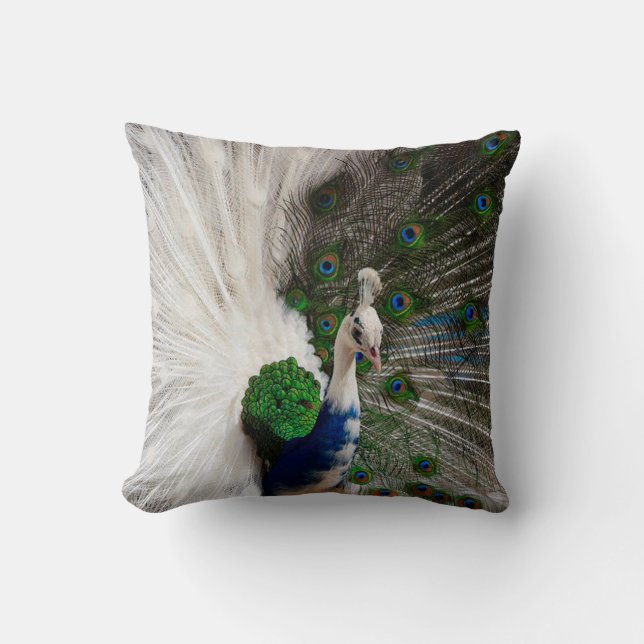 White Blue Peacock Cushion (Front)