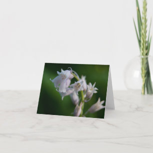 White Bluebell Note Card