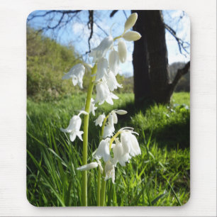 White Bluebells Mousepad