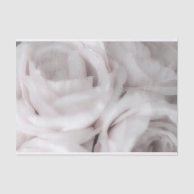 White Blush Roses Elegant Minimal Wedding Tissue Paper (Front)