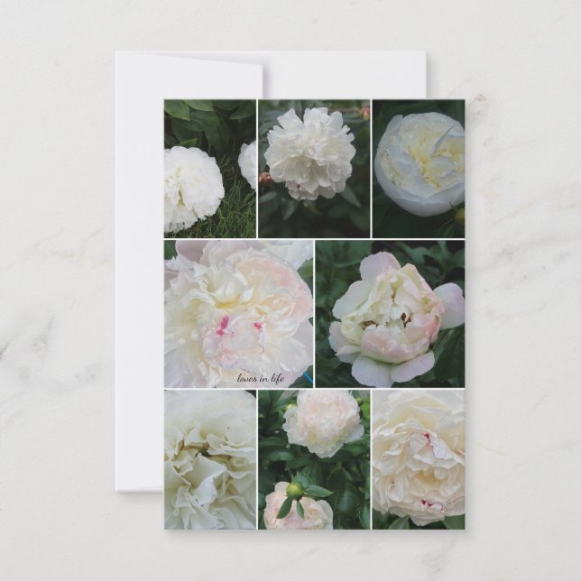 White Blushing Peony Collage Card (Front)