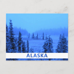 White Border for your Alaskan Vacation Photo Postcard