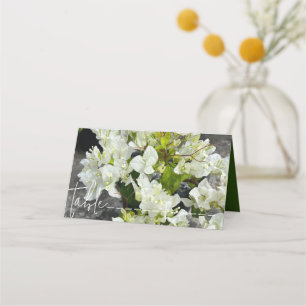 white bougainvillea or paperflower white as snow place card