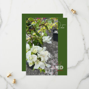 white bougainvillea or paperflower white as snow save the date