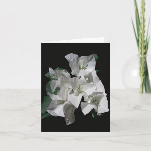 White Bougainvillia Photo Folded Note Card