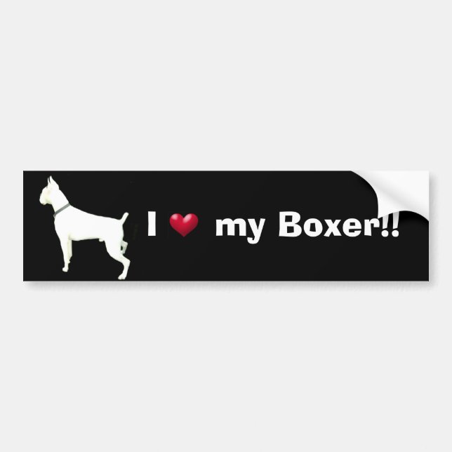 White boxer bumper sticker (Front)