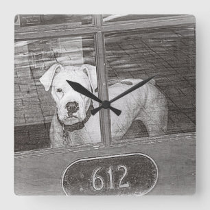 White Boxer Dog Behind Door, Black and White Square Wall Clock