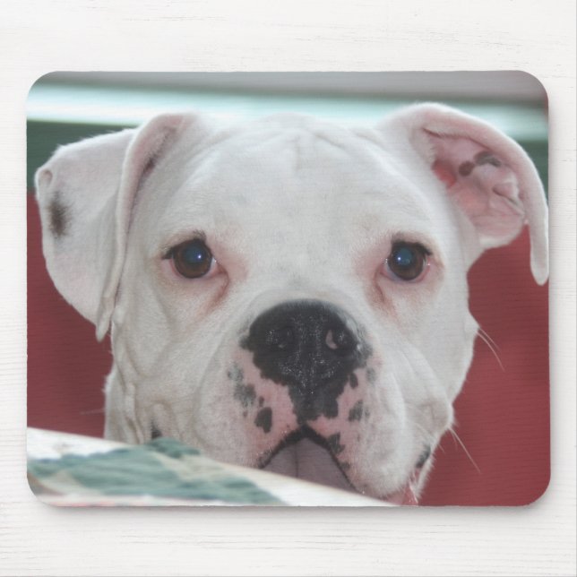 White Boxer Dog Photo Mouse Pad (Front)