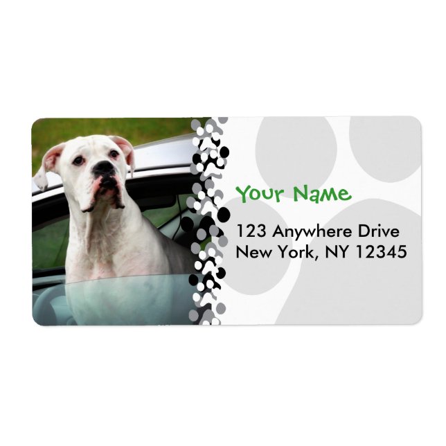 White Boxer in a Car (Front)