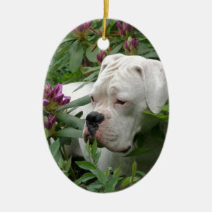 White Boxer in Pink Rhodies Ceramic Tree Decoration