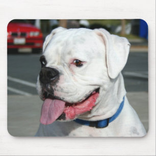White Boxer mousepad