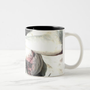 White boxer mug