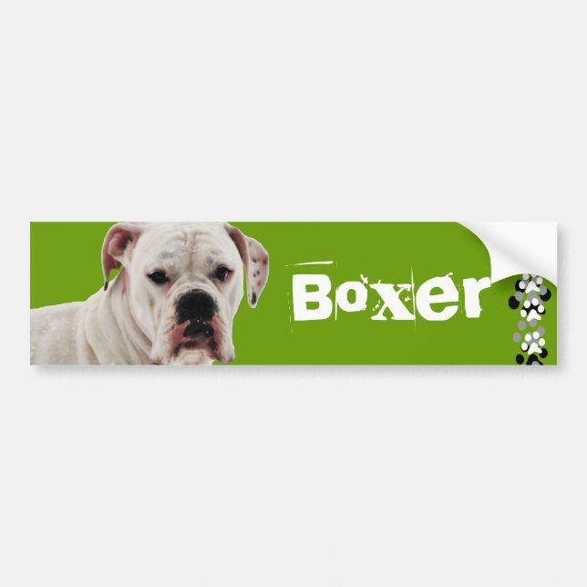 White Boxer Photo Bumper Sticker (Front)