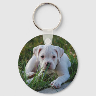 White Boxer Puppy Key Ring