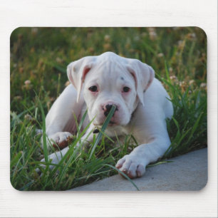 White Boxer Puppy Mouse Mat