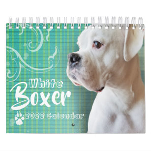 White Boxer Wall Calendar
