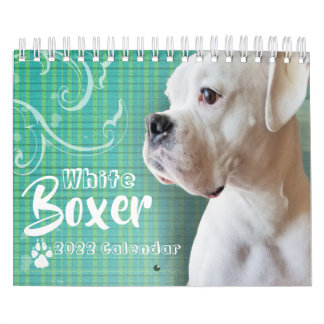 White Boxer Wall Calendar