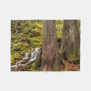 White Branch Falls, Oregon Cascades, Oregon Fleece Blanket