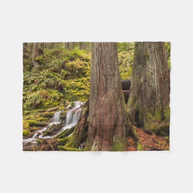 White Branch Falls, Oregon Cascades, Oregon Fleece Blanket (Front (Horizontal))