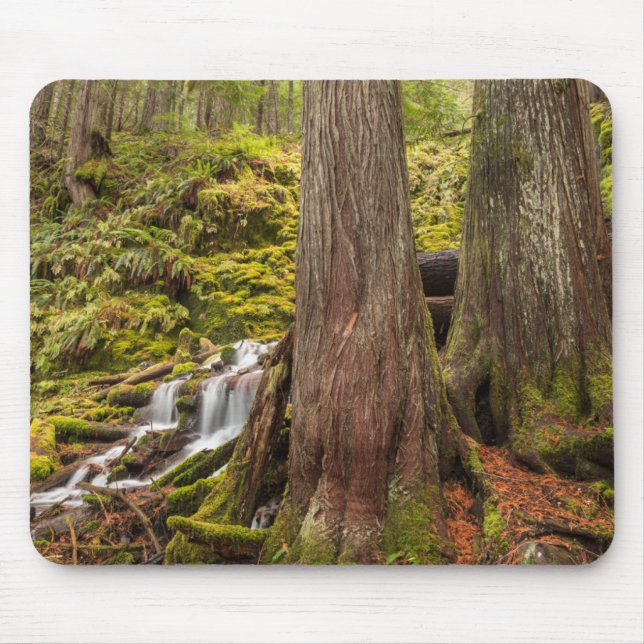 White Branch Falls, Oregon Cascades, Oregon Mouse Mat (Front)
