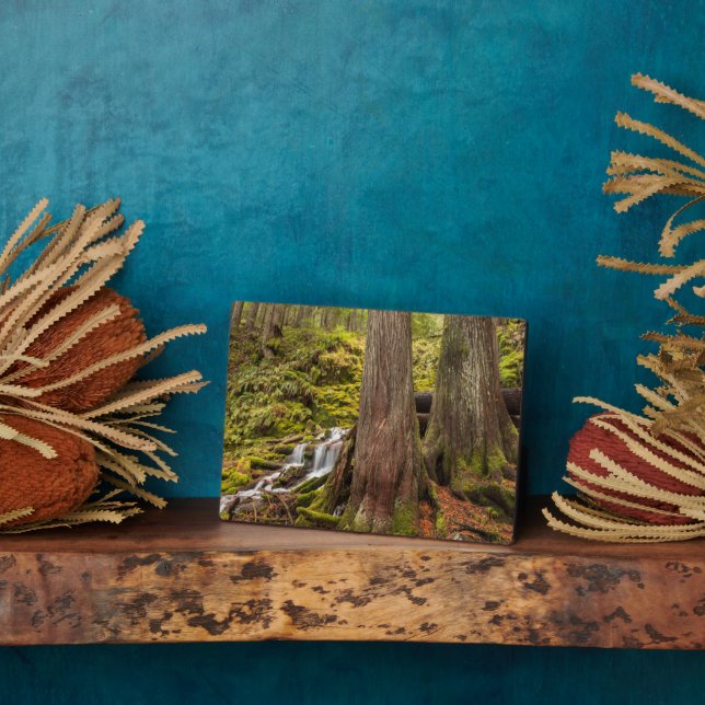 White Branch Falls, Oregon Cascades, Oregon Plaque (Side)