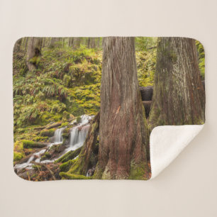 White Branch Falls, Oregon Cascades, Oregon Sherpa Blanket