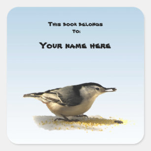 White-breased Nuthatch Bookplate Square Sticker