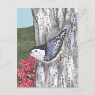 White-Breasted Nuthatch and Pink Flowers Postcard