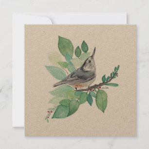 White Breasted Nuthatch Bird Art