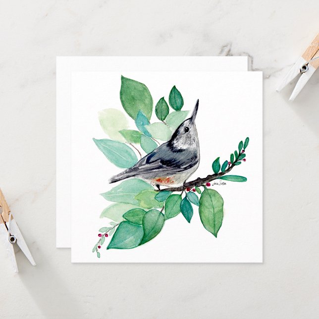 White Breasted Nuthatch Bird Card (White Breasted Nuthatch Bird Card from Jenn's Emporium. )