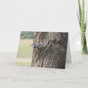 "White-Breasted Nuthatch" Easter Card