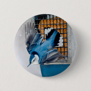 White-Breasted Nuthatch in Snow - Original Photo 6 Cm Round Badge