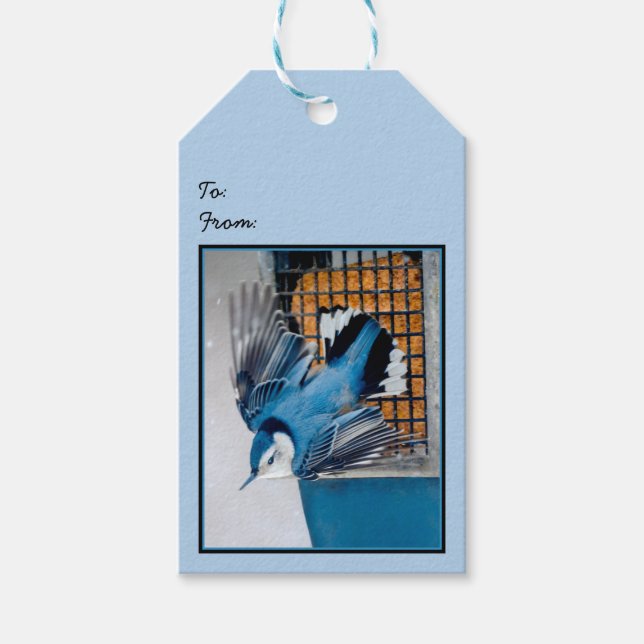 White-Breasted Nuthatch in Snow - Original Photo Gift Tags (Front)