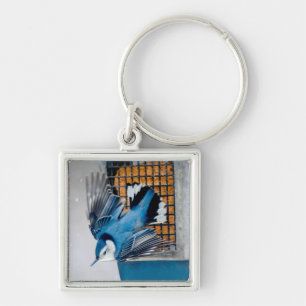 White-Breasted Nuthatch in Snow - Original Photo Key Ring