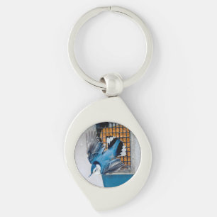 White-Breasted Nuthatch in Snow - Original Photo Key Ring