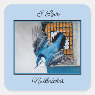 White-Breasted Nuthatch in Snow - Original Photo Square Sticker