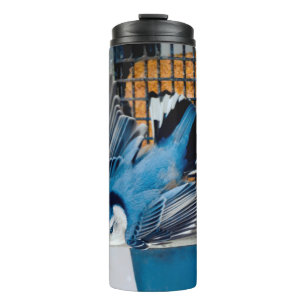 White-Breasted Nuthatch in Snow - Original Photo Thermal Tumbler