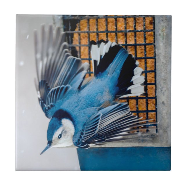 White-Breasted Nuthatch in Snow - Original Photo Tile (Front)