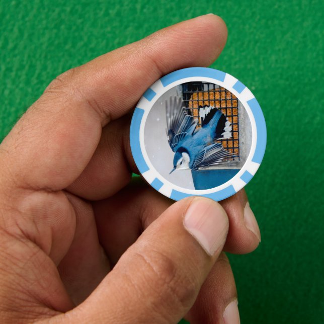 White-Breasted Nuthatch in Snow Poker Chips (Hand)
