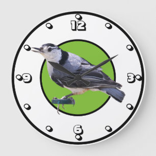 White-Breasted Nuthatch Large Clock