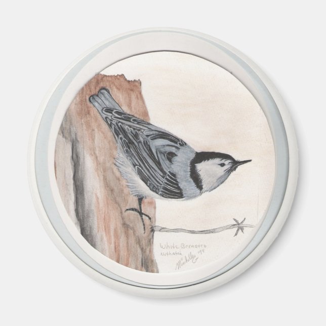 white breasted nuthatch magnet (Front)