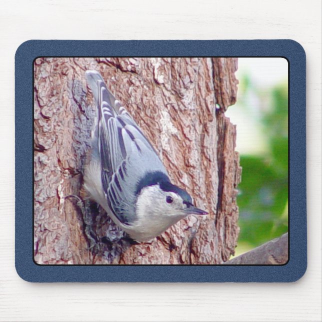White Breasted Nuthatch Mousepad (Front)