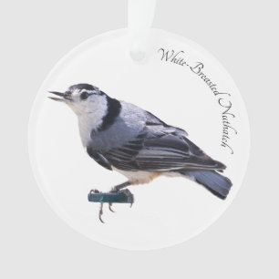 White-Breasted Nuthatch Ornament