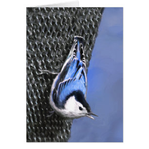 White-Breasted Nuthatch Painting Original Bird Art