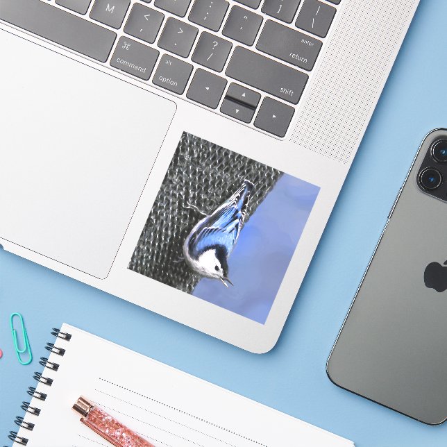 White-Breasted Nuthatch Painting Original Bird Art (Laptop w/ iPhone)